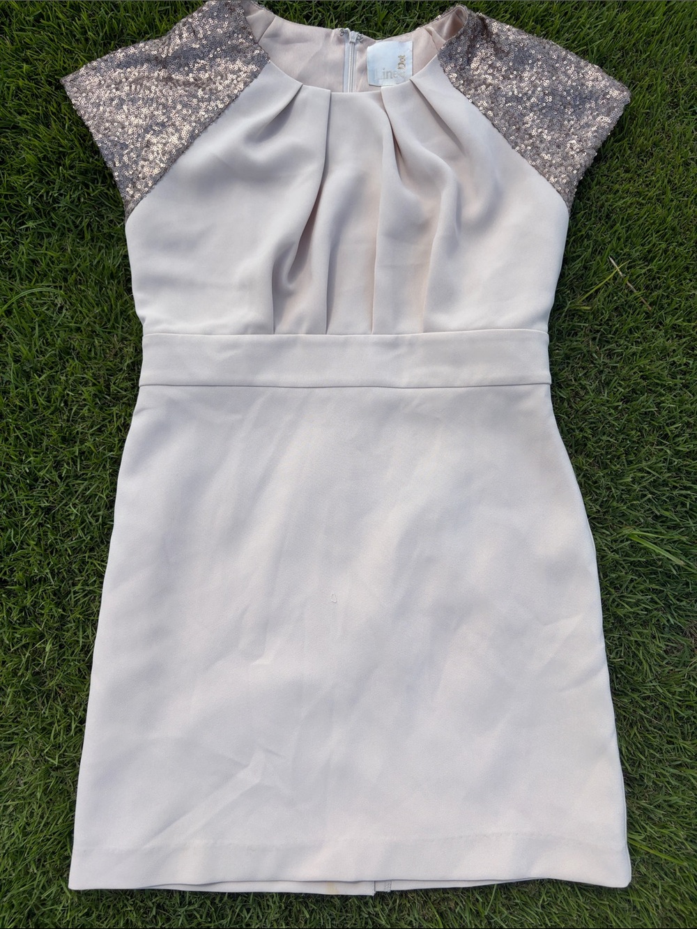 Line and Dot Sequin Cap Sleeve Mini Dress in Champagne color